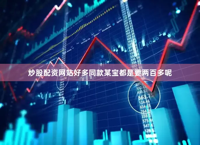 炒股配资网站好多同款某宝都是要两百多呢