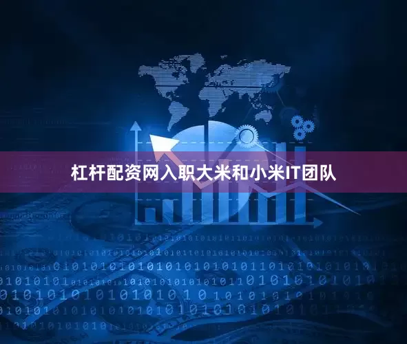 杠杆配资网入职大米和小米IT团队