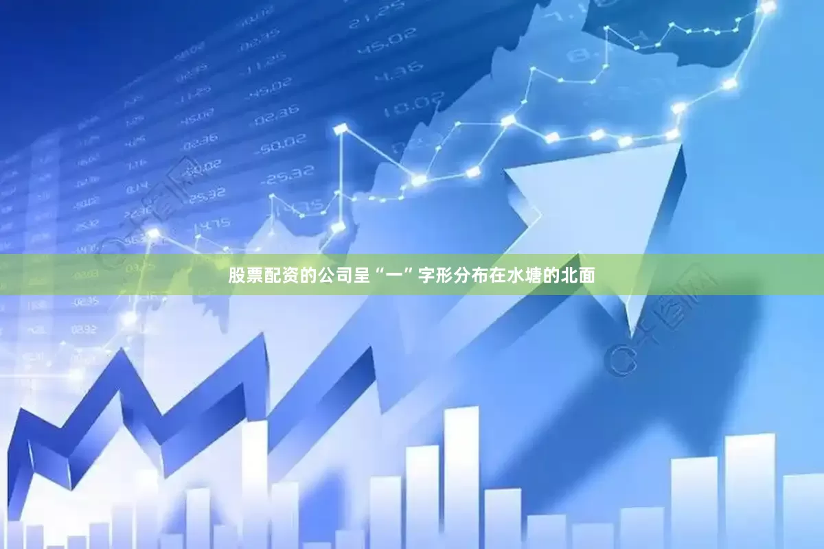 股票配资的公司呈“一”字形分布在水塘的北面